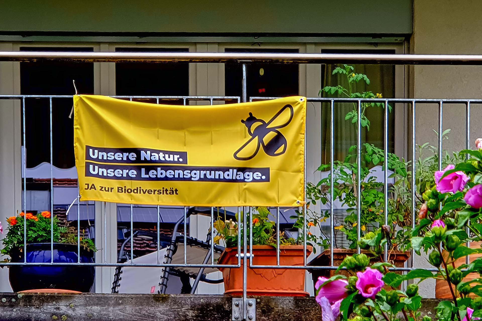 Ein Plakat zur Initiative für mehr Biodiversität: "Ja zur Biodiversität" auf einem Schweizer Balkon im Sommer, Aussenansicht. Foto: Jacqueline Cortesi, 2023